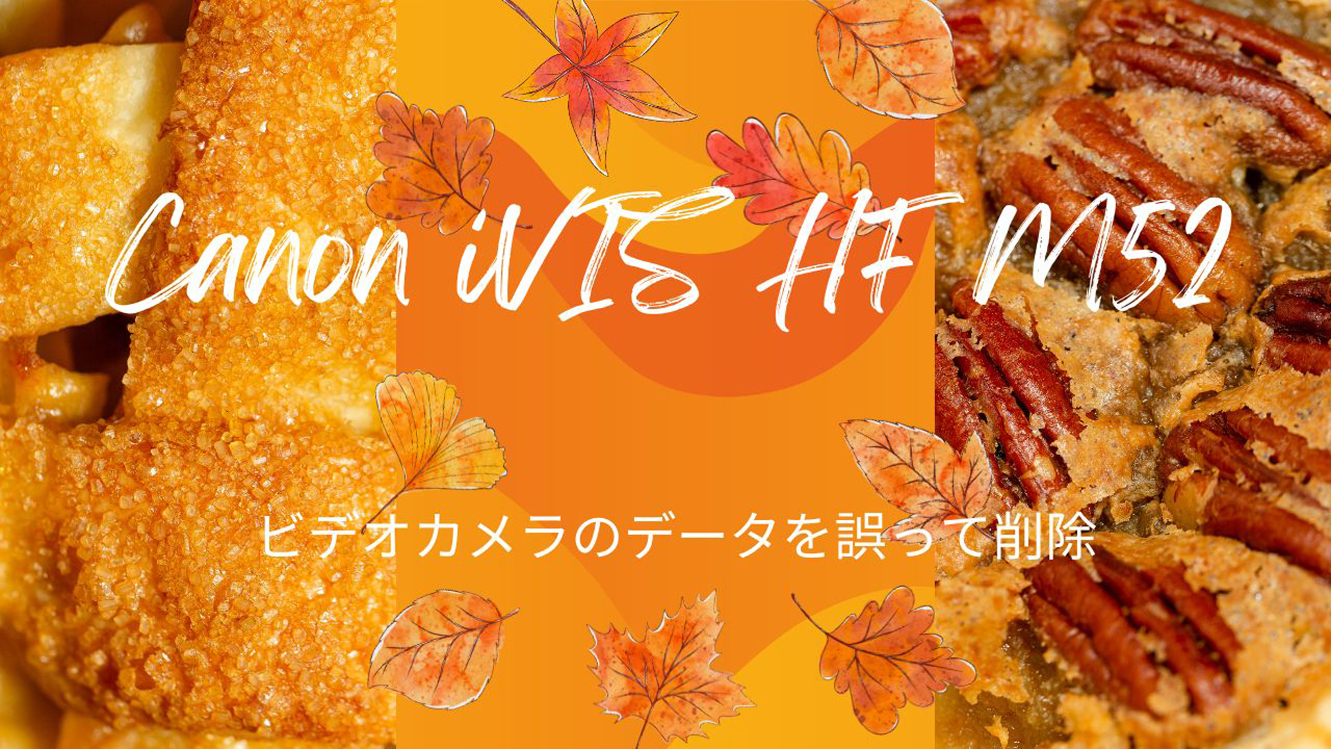Canon iVIS HF M52ビデオカメラのデータ驚きの復旧劇！東京都文京区の成功事例