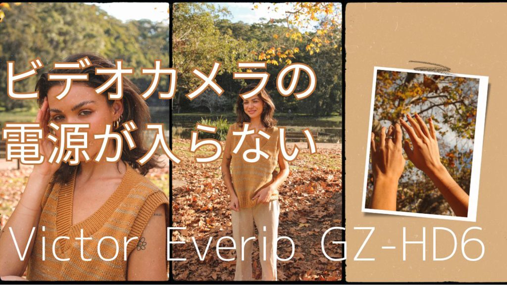 Victor Everio GZ-HD6ビデオカメラのデータ復旧事例 東京都大田区