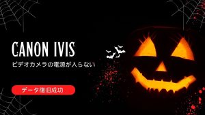 Canon iVIS HF10故障からの驚異の復旧事例
