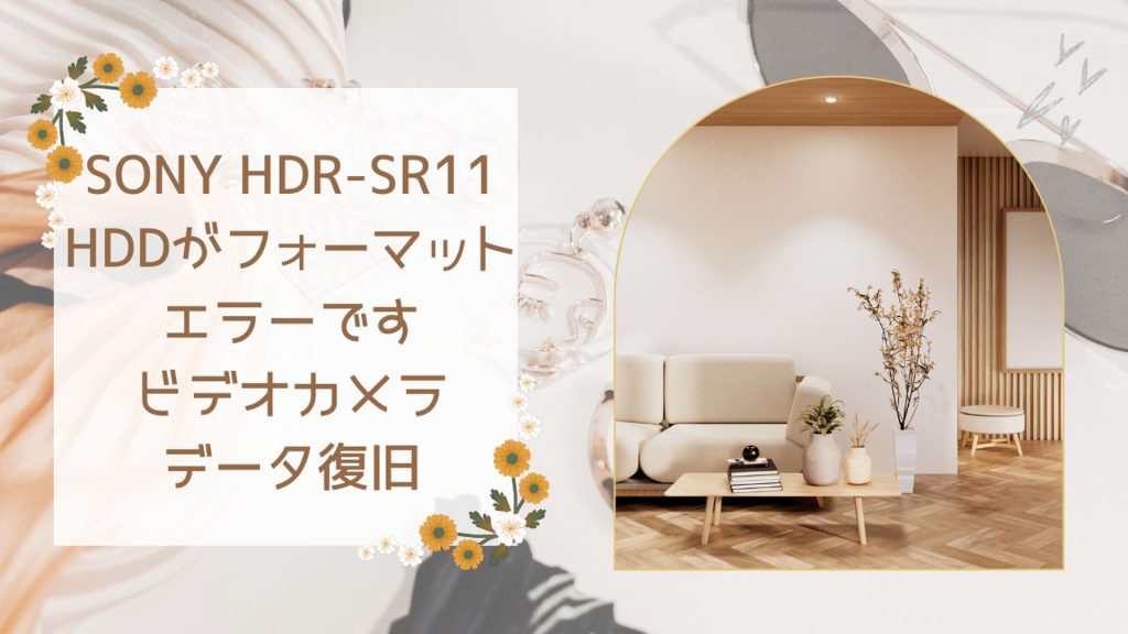SONY HDR-SR11 HDDフォーマットエラーからのデータ復旧成功事例 藤沢市