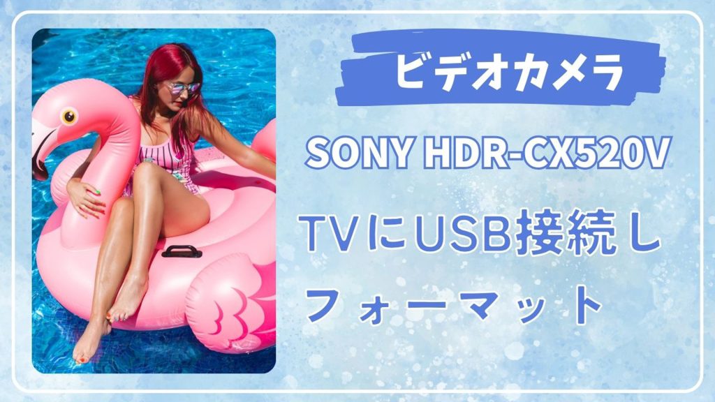 ビデオカメラのデータ復旧術：SONY HDR-CX520Vフォーマットエラーからの成功事例