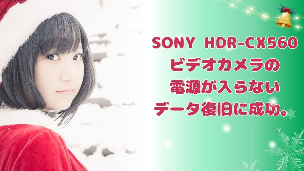 藍染めに落ちたSONYビデオカメラのデータ復旧事例 横浜市からの挑戦